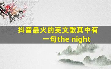 抖音最火的英文歌其中有一句the night